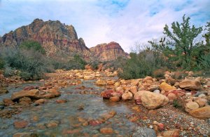 First Creek at Red Rock