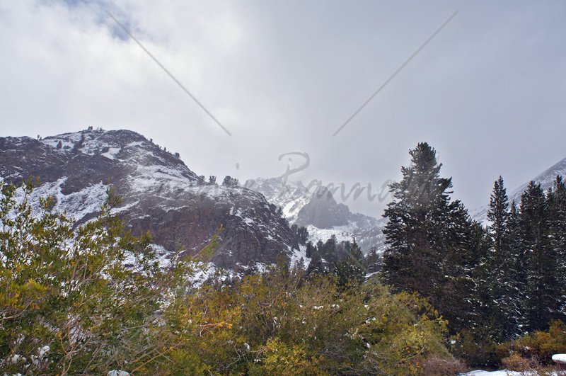 Winter, Virginia Lake, California - Click Image to Close