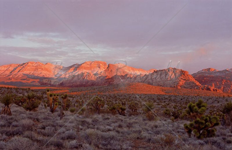 Alpenglow at Red Rock, NV - Click Image to Close