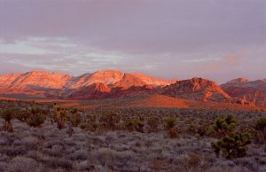 Alpenglow at Red Rock, NV