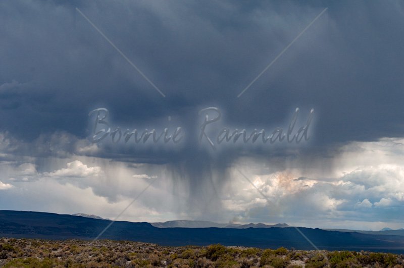 Microburst in the Desert - Click Image to Close