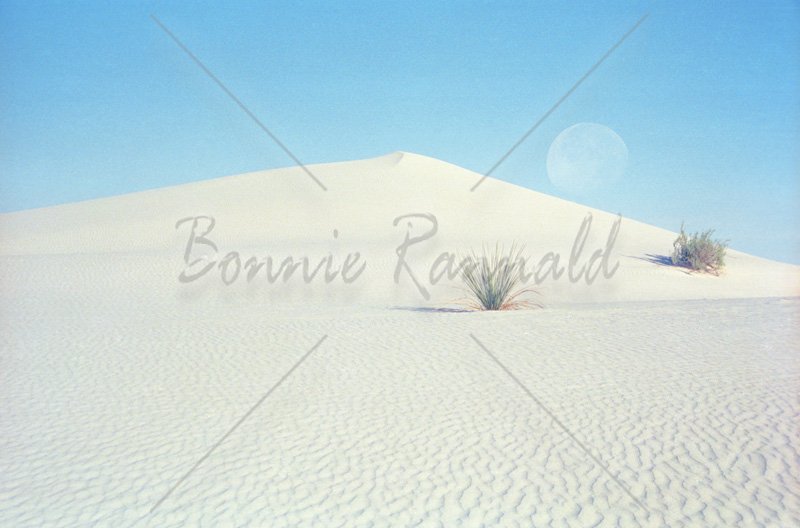 Morning Moon, White Sands New Mexico - Click Image to Close