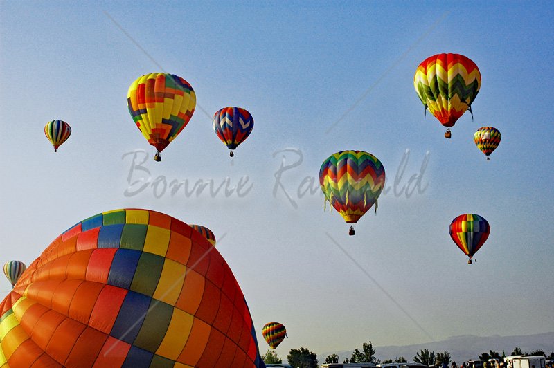 Balloons Rising - Click Image to Close