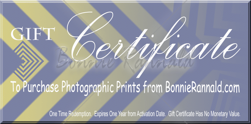 Gift Certificate - Click Image to Close