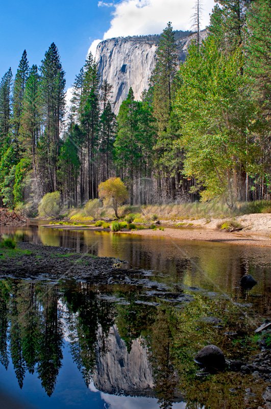 Autumn at El Capitan - Click Image to Close