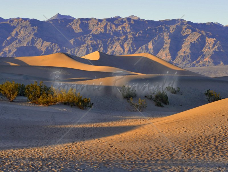 Mesquite Flat Sand Dunes - Click Image to Close