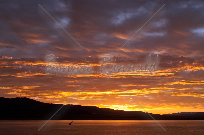 Sunrise at Walker Lake, Nevada - Click Image to Close
