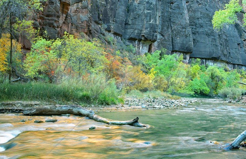 Morning Glow, Zion, Utah - Click Image to Close