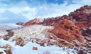 Winter Wonders at Red Rock