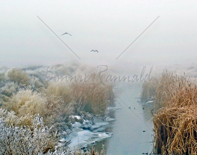 Quite Retreat - Click Image to Close